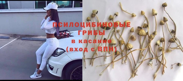 сатива Володарск