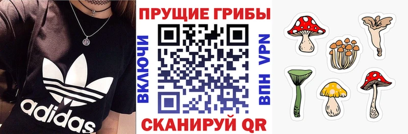 Псилоцибиновые грибы ЛСД  Галич 